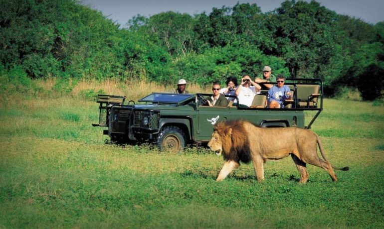 Kruger National Park One Day Safari From Johannesburg